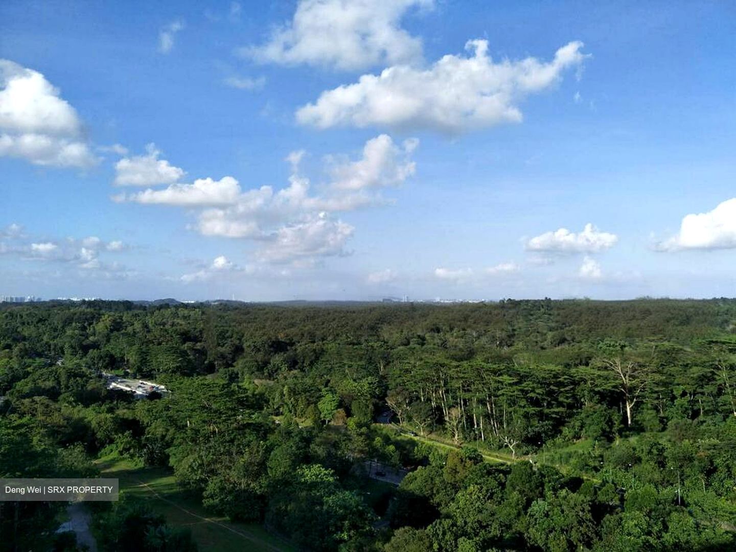 Eco Sanctuary (D23), Condominium #463089691